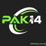 PAK14 Game