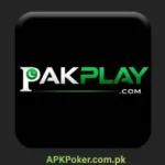 PAKPlay Game