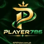 Player786 Game