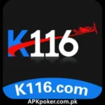 K177 Game